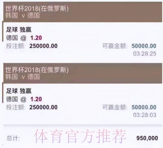 全面解析世界杯买球平台服务与优势